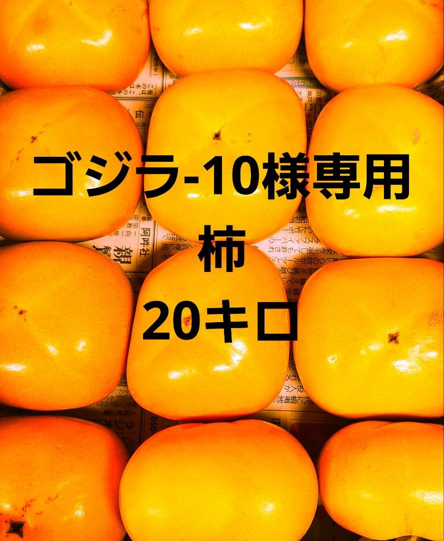 ゴジラ-10 20キロ