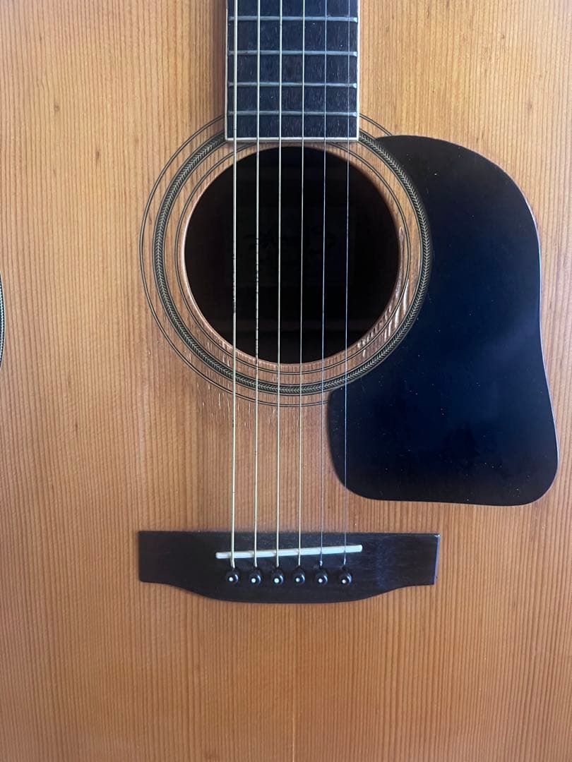 鈴木バイオリン three S GR-20 アコースティックギター