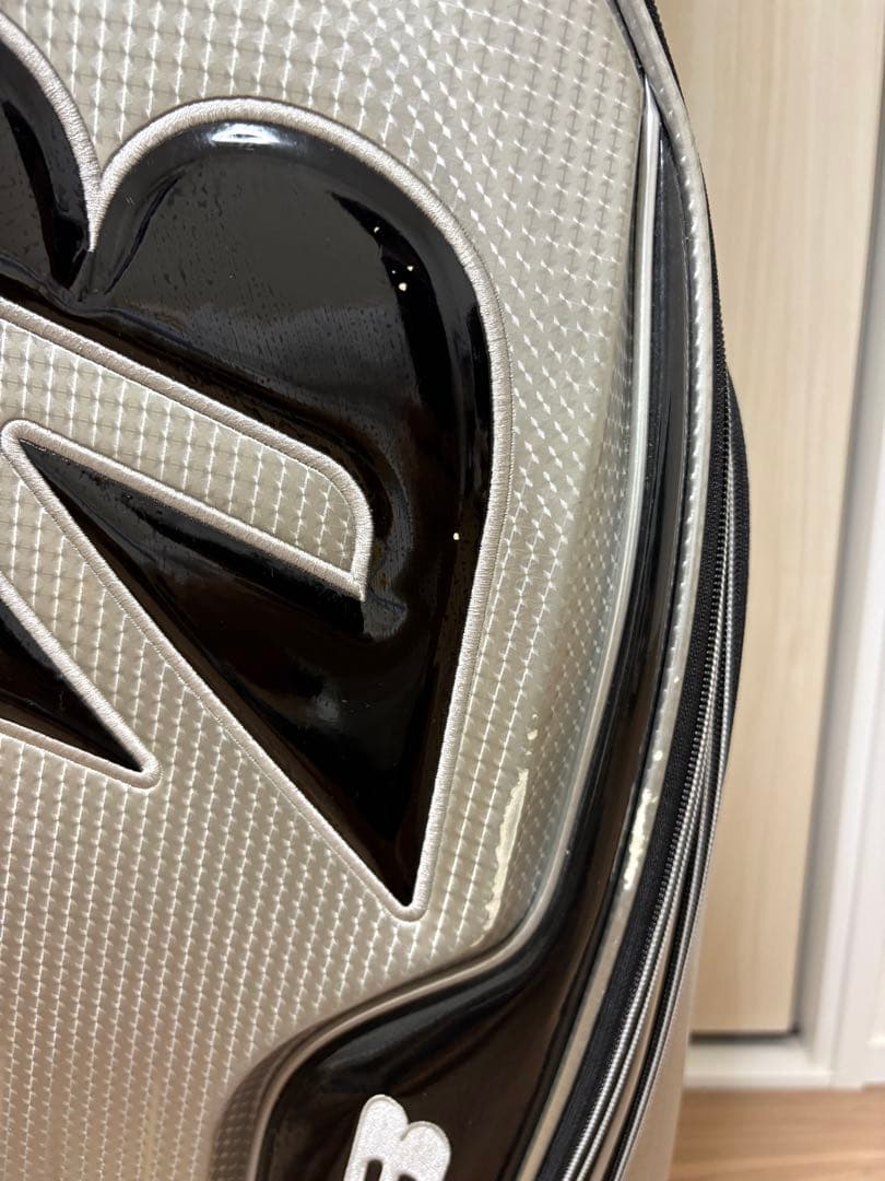 ブリヂストンTOUR B シルバーキャディバッグ