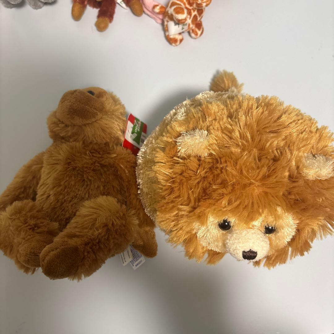 シンガポール 動物園