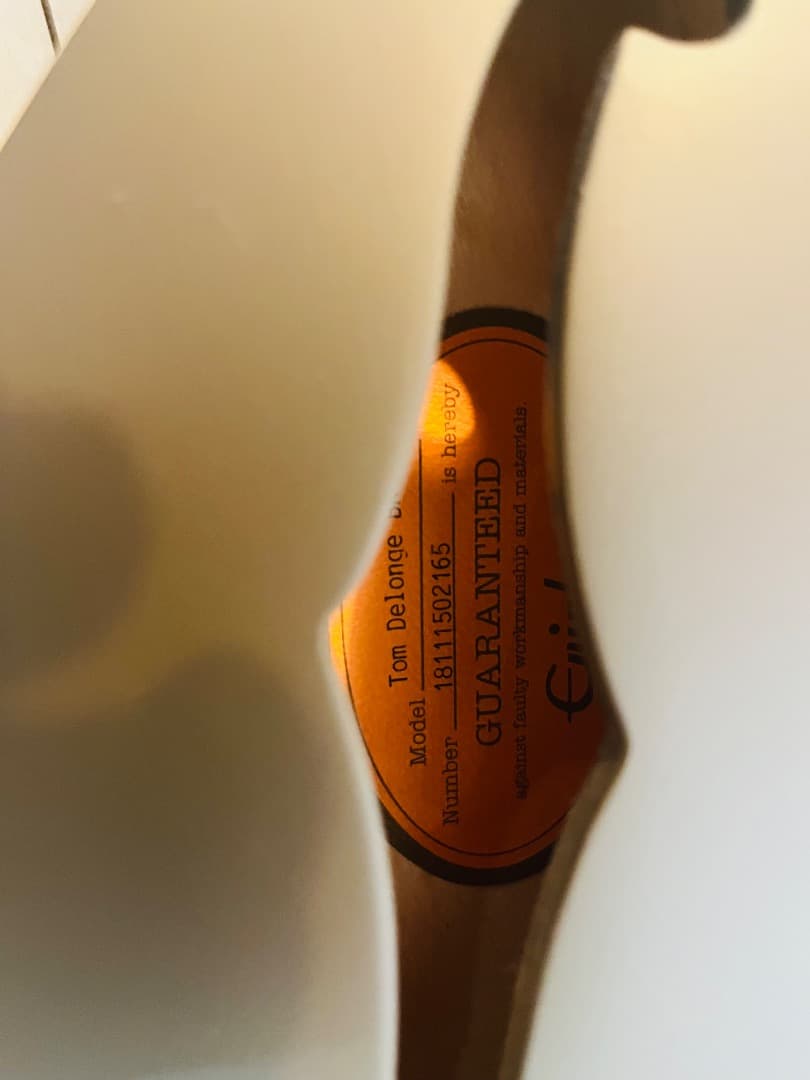 ギター Tom DeLonge ES-333 Epiphone Blink 182