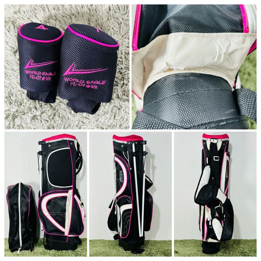 ワールドイーグル FL-01☆V2 10本セット レディースゴルフ 初心者 入門