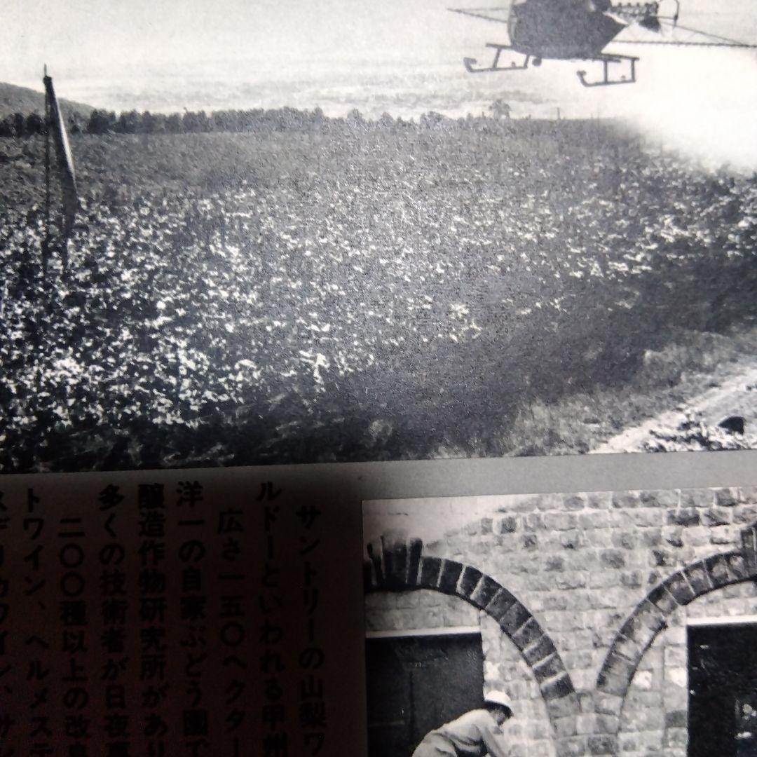 サントリー　ノベルティ　販促品