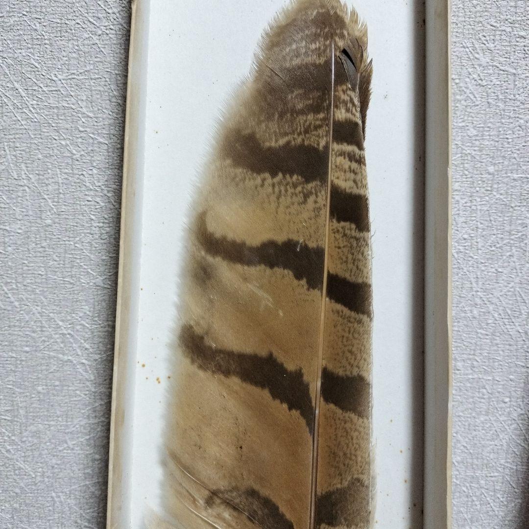 御羽箒 縞梟三ツ羽根 と姉羽鶴羽掃 風炉 紙箱