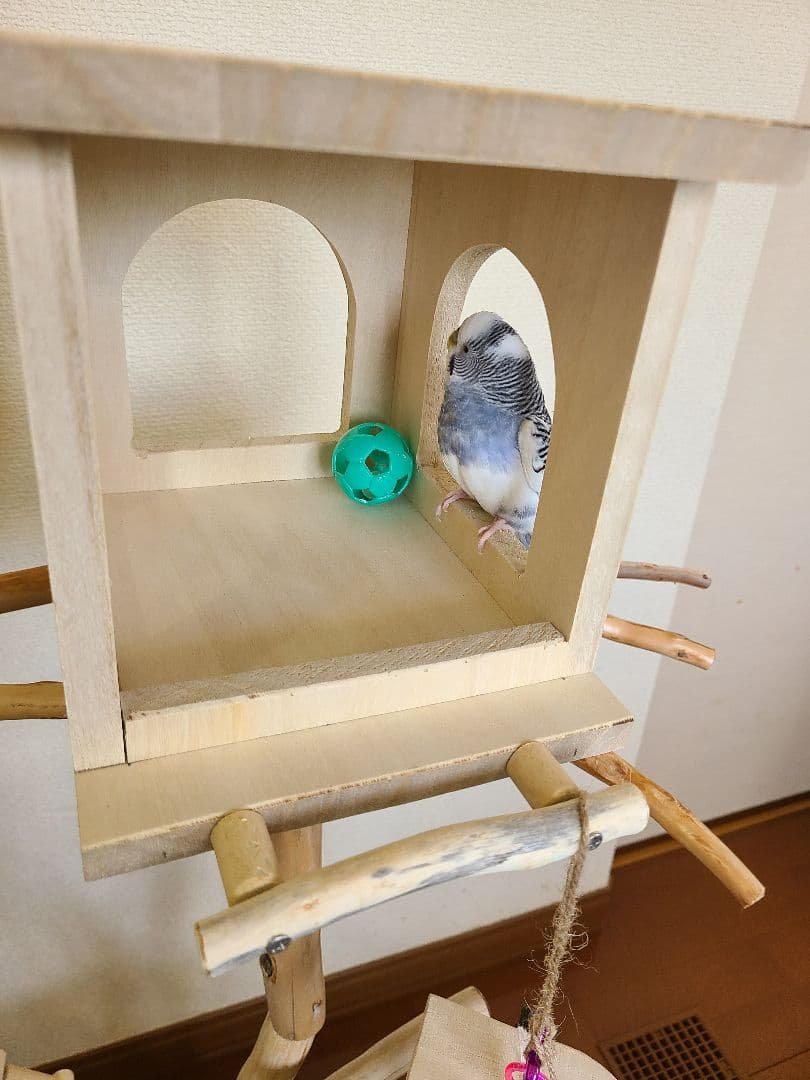 ① ぽこなつページ　バードアスレチック　ハンドメイド　流木