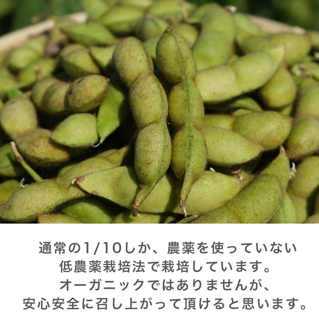 《採れたて》 兵庫県丹波篠山産　黒枝豆　5kg 低農薬栽培 黒大豆