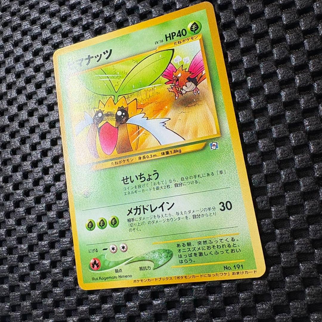 ポケモンカード　旧裏　ポケモンカードになったワケ　フルコンプリートセット