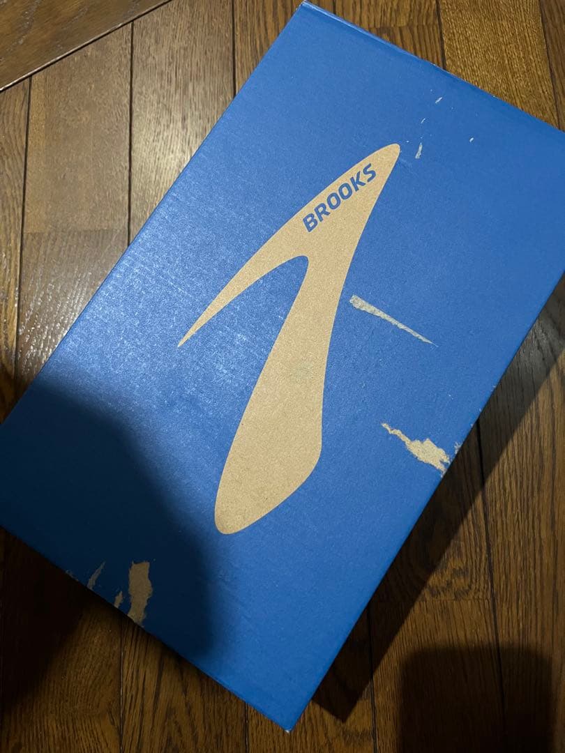 ブルックス　ゴースト16 メンズ25.0cm