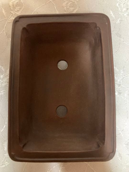 新年セール　中国鉢　長方　盆栽鉢