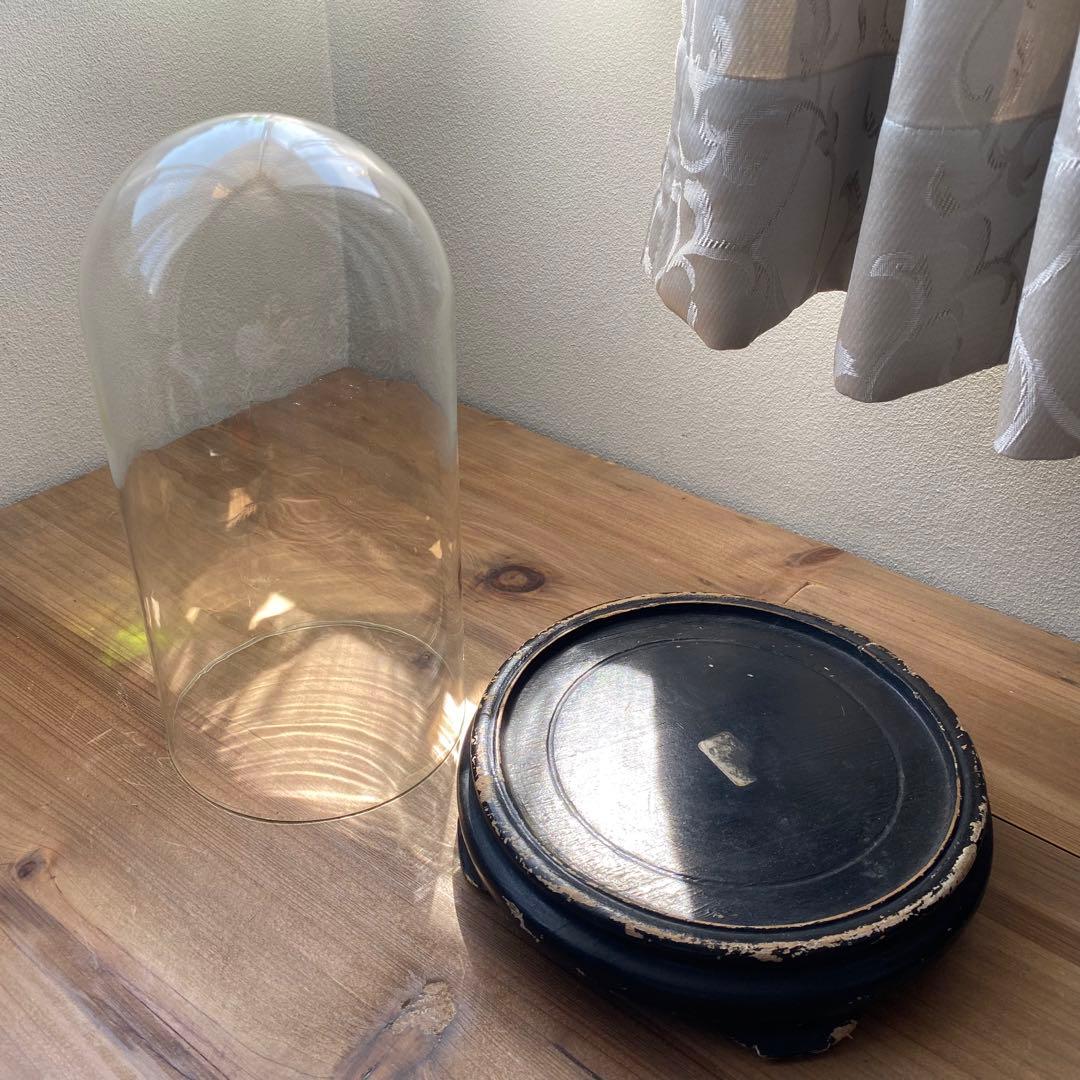 フランス　ベルギー　ガラスドーム　展示ケース　アンティーク　古道具　木　黒