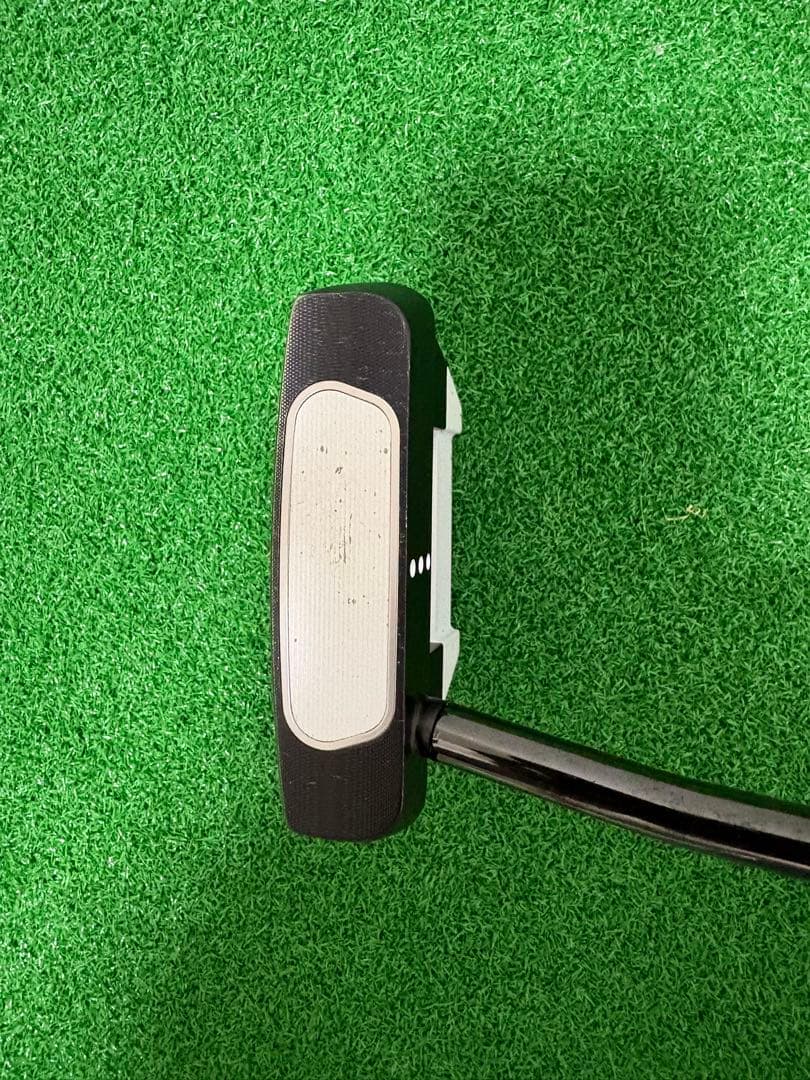 ジェイルバード　ミニ　ブラックシャフト