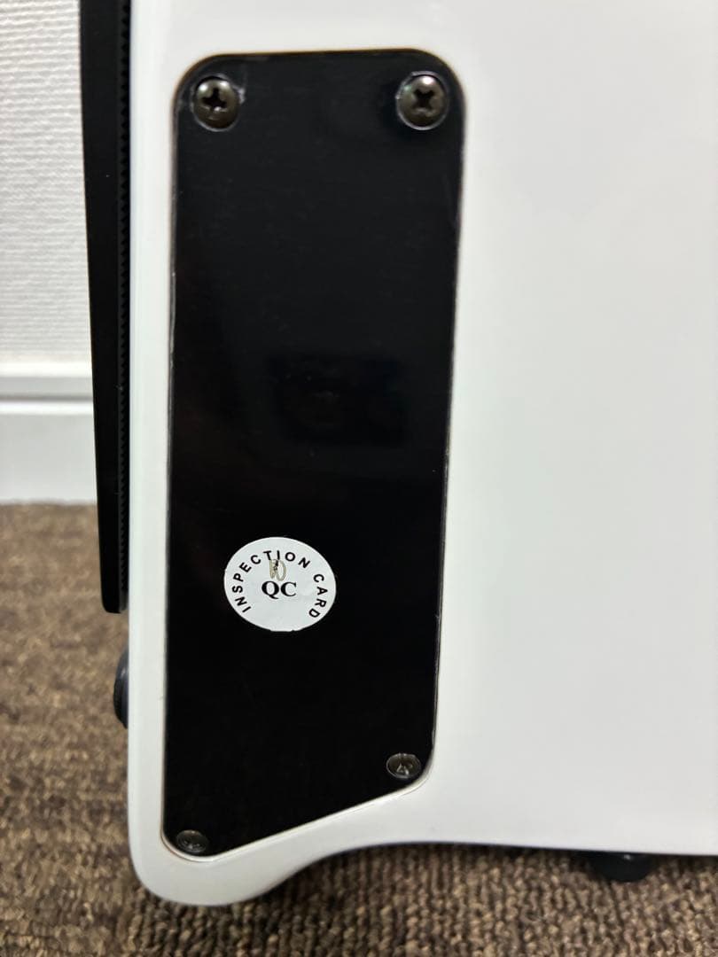 Spirit by Steinberger スタインバーガー