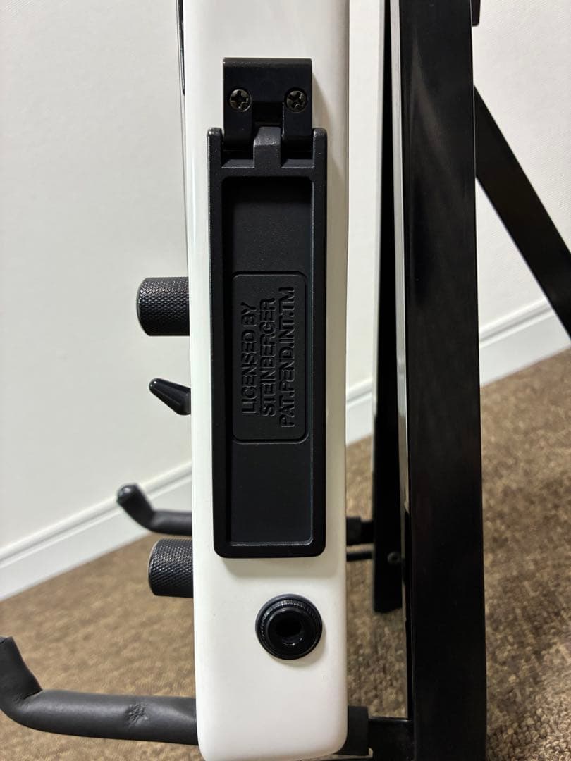 Spirit by Steinberger スタインバーガー