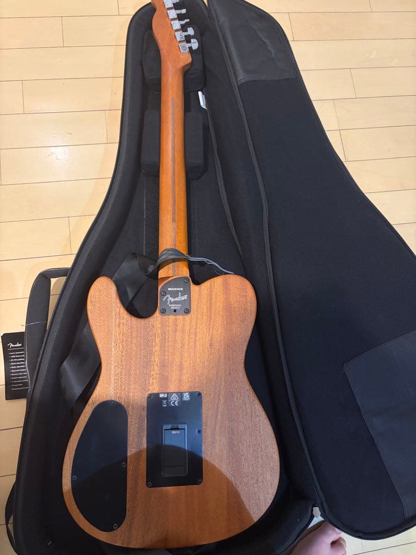 【激レア色】FENDER MEXICO / ACOUSTASONIC