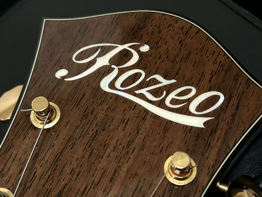 ロゼオ ギター Rozeo Ladybug フルアコースティック 美品