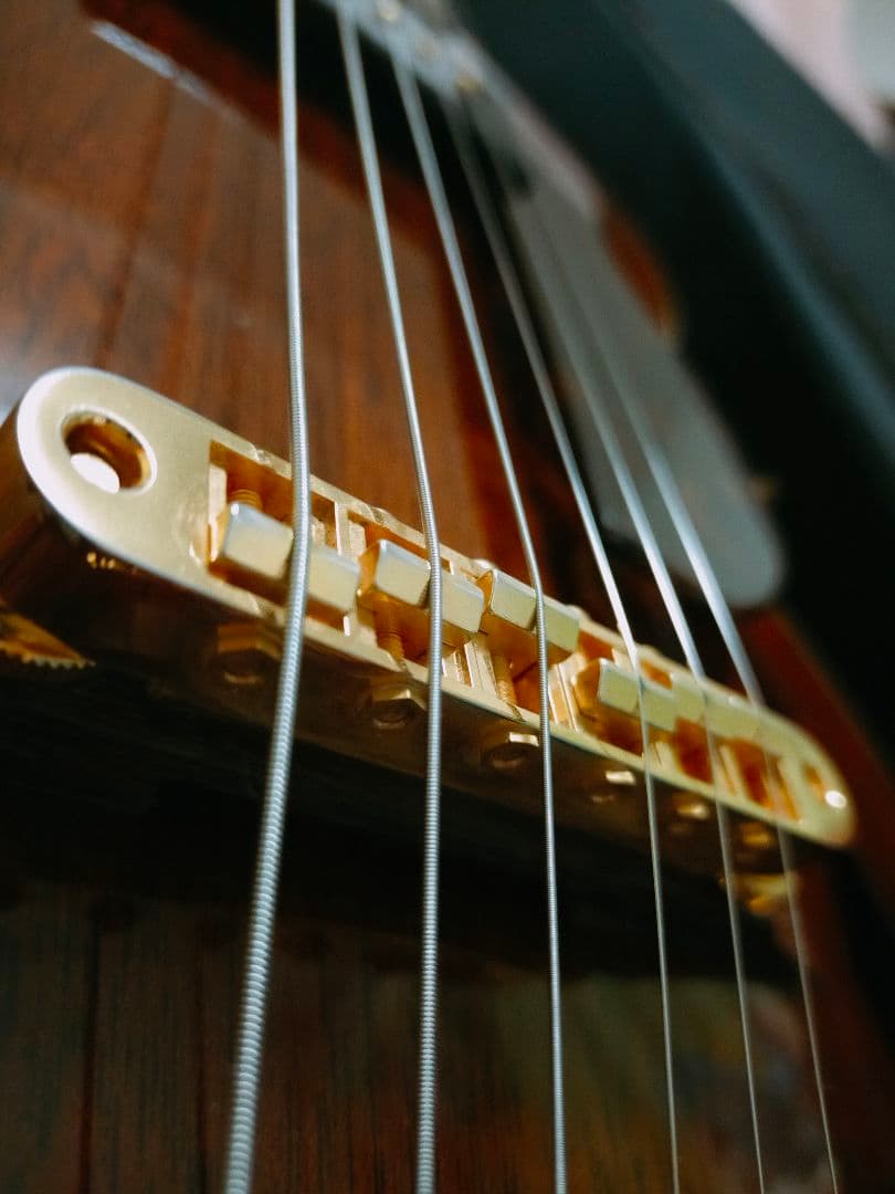 ロゼオ ギター Rozeo Ladybug フルアコースティック 美品