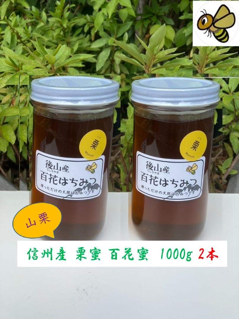 山栗 百花蜜 1000g 2本 信州産 セイヨウミツバチ 栗蜜 国産蜂蜜