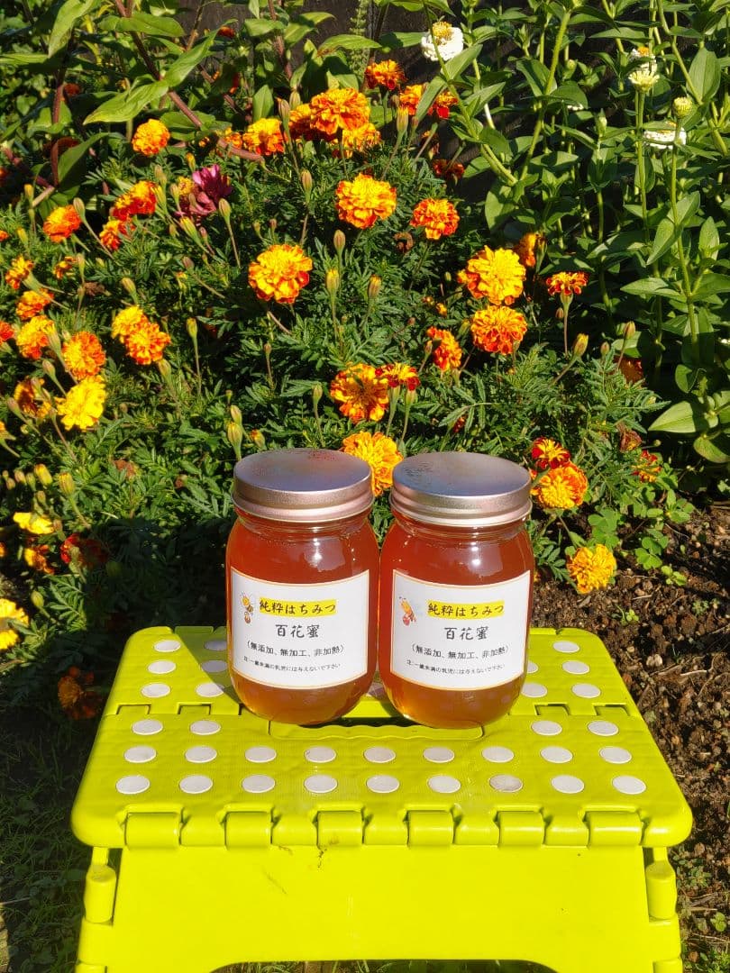 秋新蜜　日本みつばちの百花蜜（１年熟成物）　550ｇ✕2本（1.1kg）
