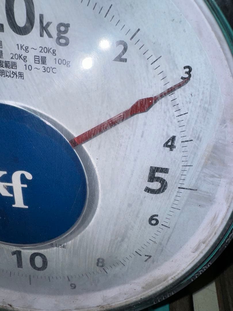 ERICA⭐️JA共選品シャインマスカット 種なし巨峰セット