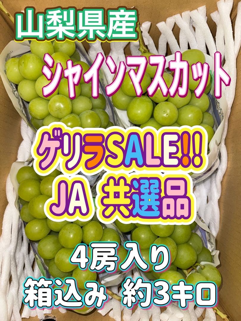 ERICA⭐️JA共選品シャインマスカット 種なし巨峰セット