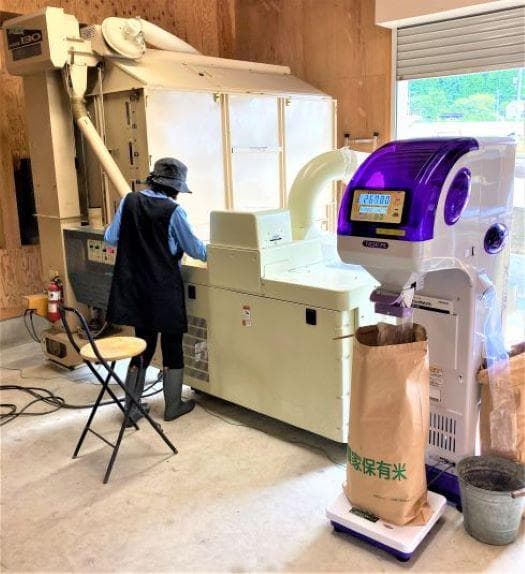 農家保有米 令和7年産 20キロ 玄米 コシヒカリ 20kg(5kg×4) 新米