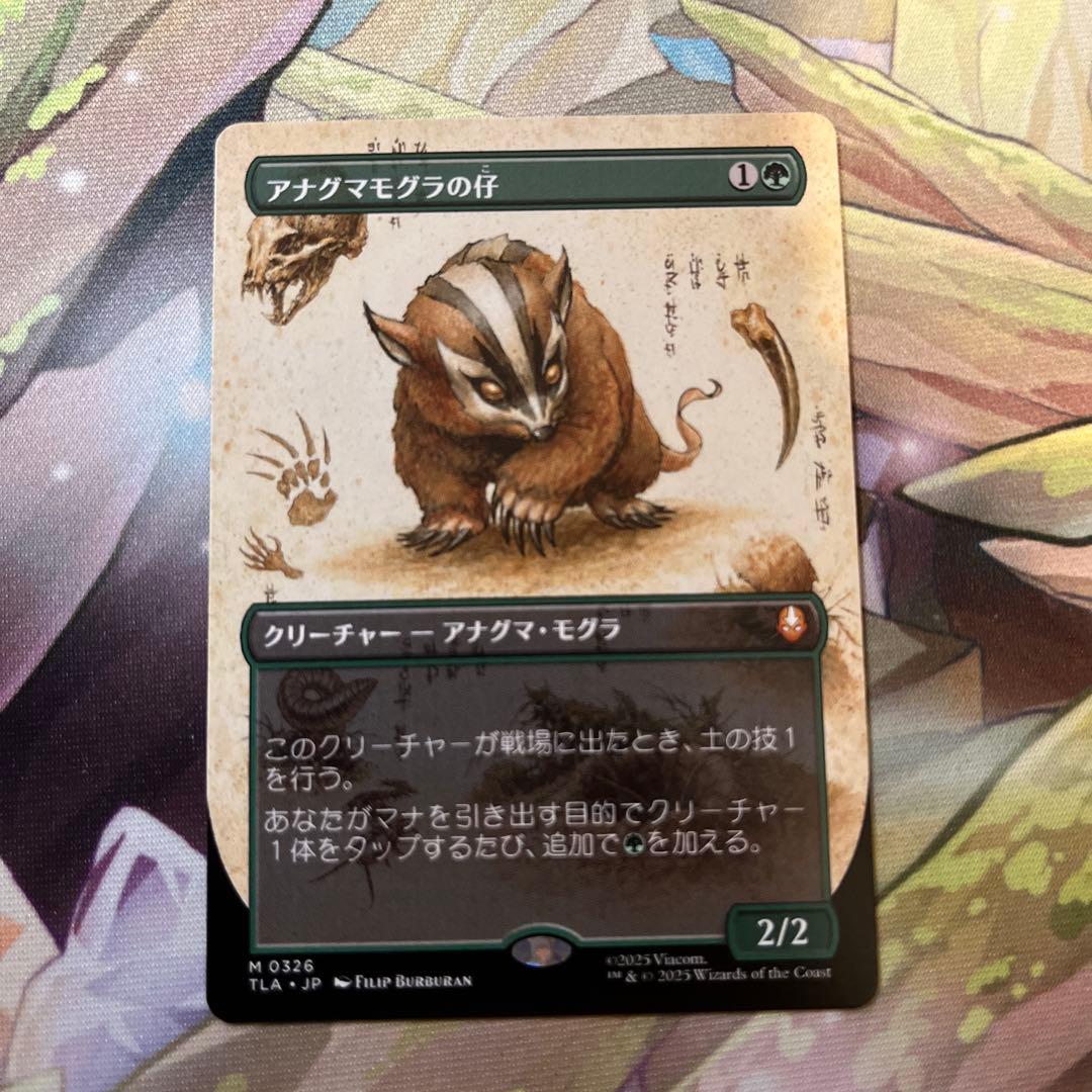 d5166 MTG アナグマモグラの仔　拡張