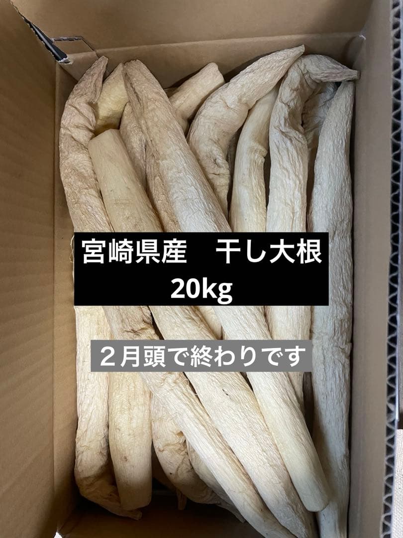 宮崎県産　干し大根　大根　箱込み20kg