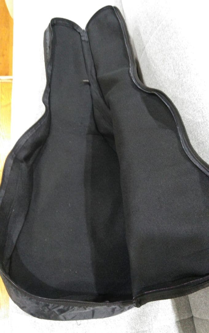 ARIA 　Aria　アコースティックギター　101 MTTS　ギターケース付き