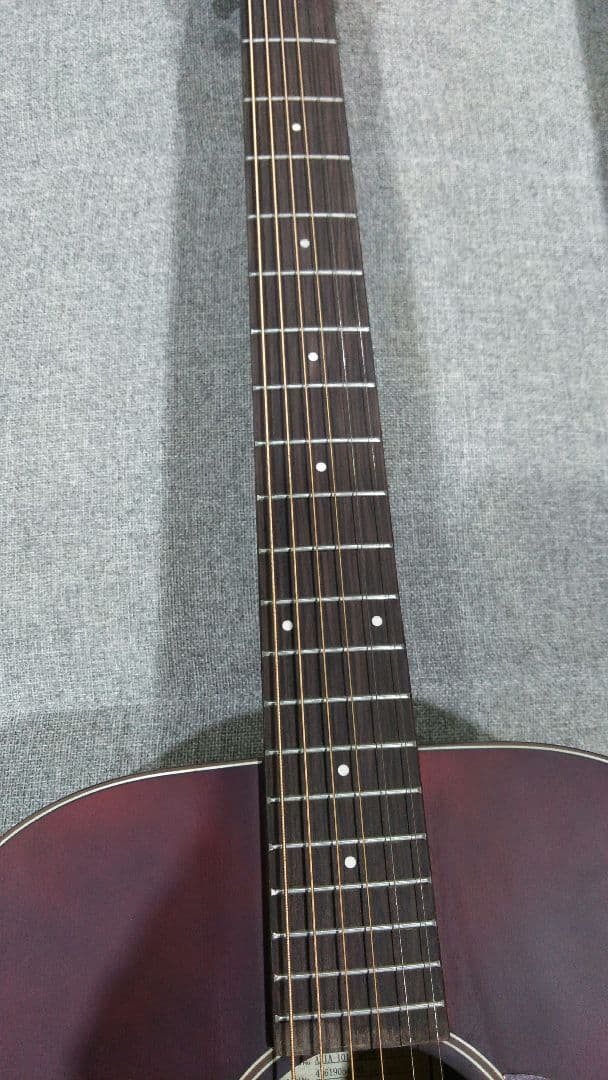 ARIA 　Aria　アコースティックギター　101 MTTS　ギターケース付き