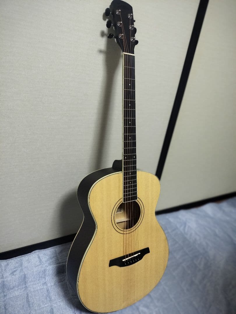 島村楽器 アコースティックギター 初心者向け Soldin SFG-15