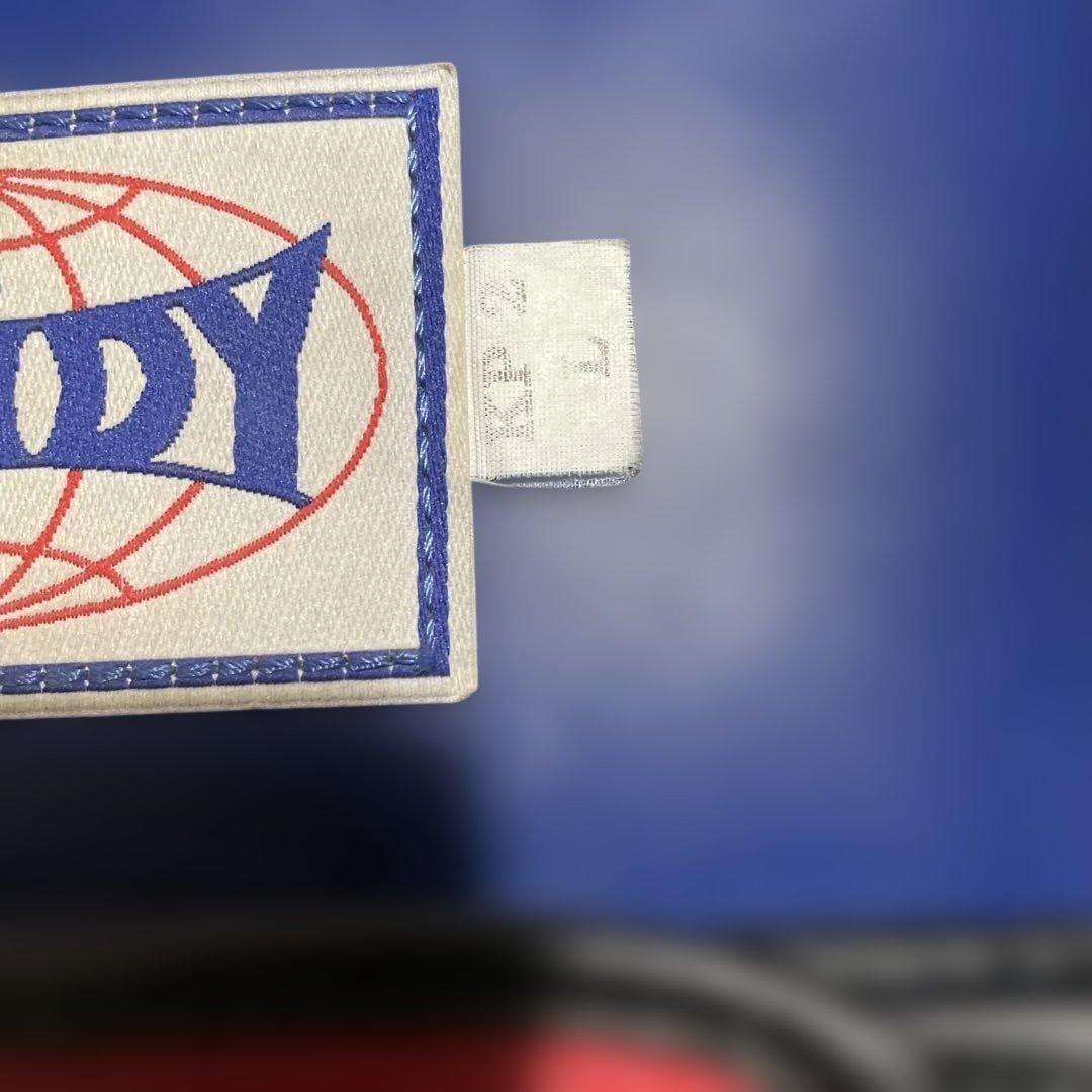 最終価格　windy本革キックミットL、イサミパンチングミット