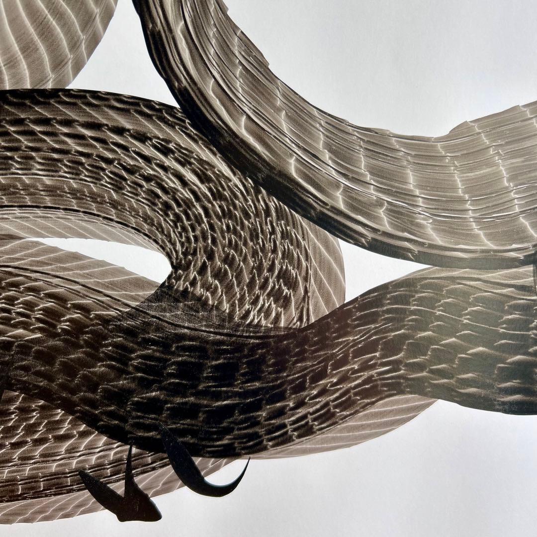 日光　一筆龍　高瀬