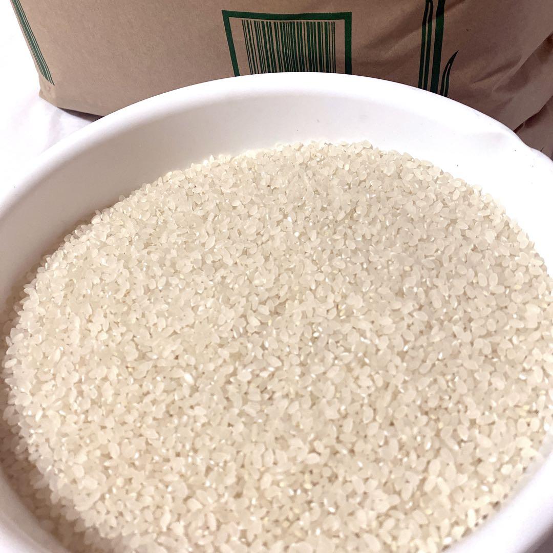 熊本県産　くまさんの輝き　令和7年産　30キロ　送料込　米　農家直送　玄米