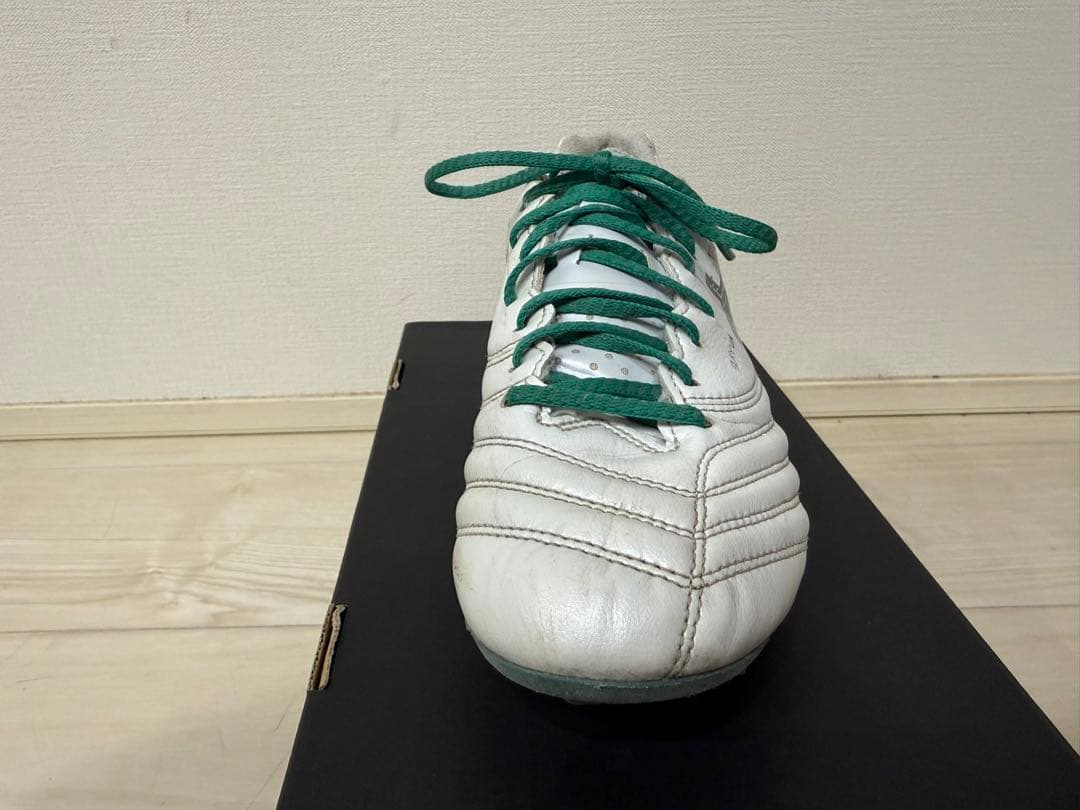 アシックス DSライト Xフライ プロ3 24.5cm