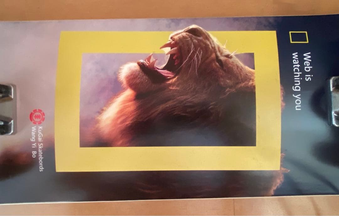 スケボー コンプリート スケートボード 完成品 8インチ