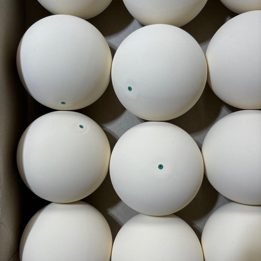 【早い者勝ち】ソフトテニス ボール 5ダース 60球 新品 カゴ付き