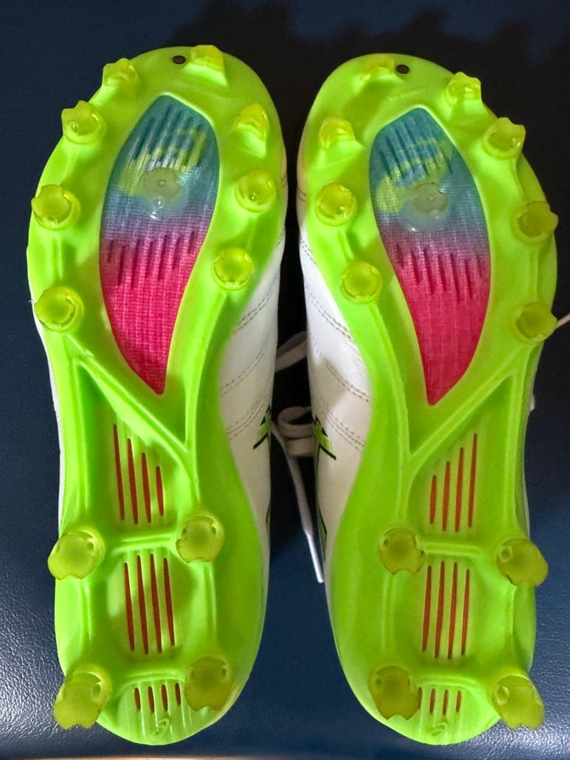 シューズ DS LIGHT X-FLY PRO3 24.5cm xfly pro3