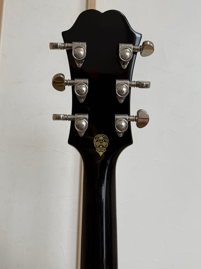 Epiphone Shinichi Ubukata ES-355 生形真一