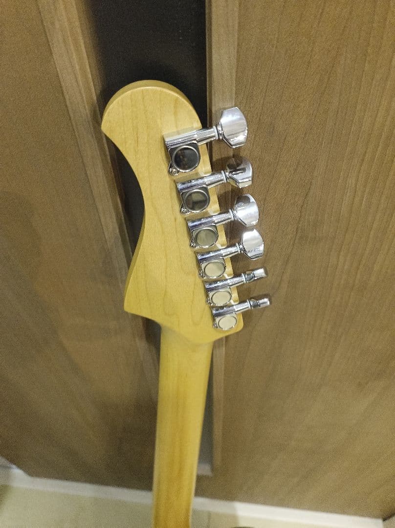 Bacchus TACTICS PLD テレキャスタータイプ　エレキギター美品