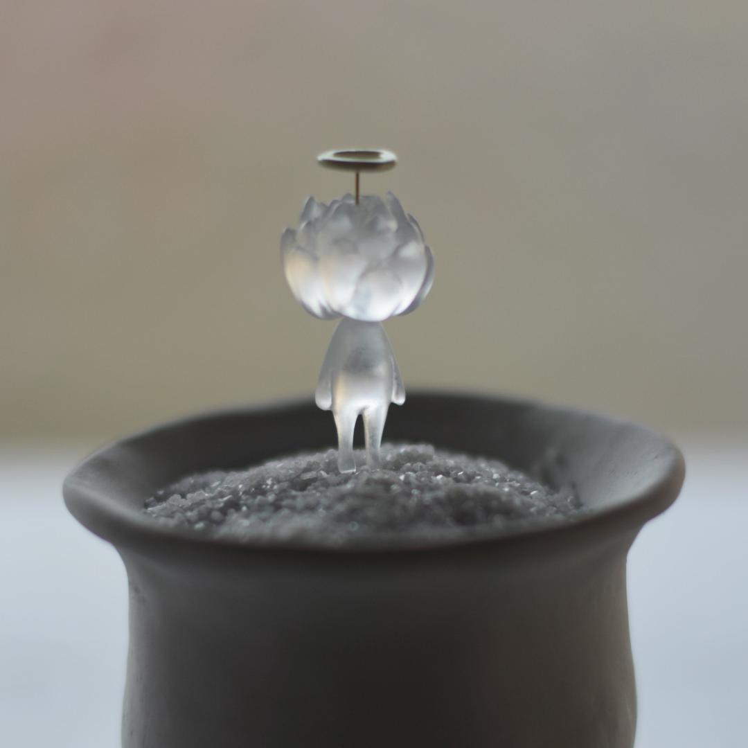 echidna サキュ天使（baby) standing サボ天使 陣内啓治