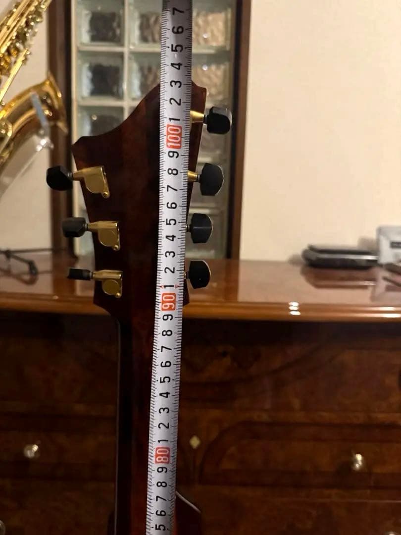 Eastman T-145SM 17st 7弦フルアコ スペシャルオーダー