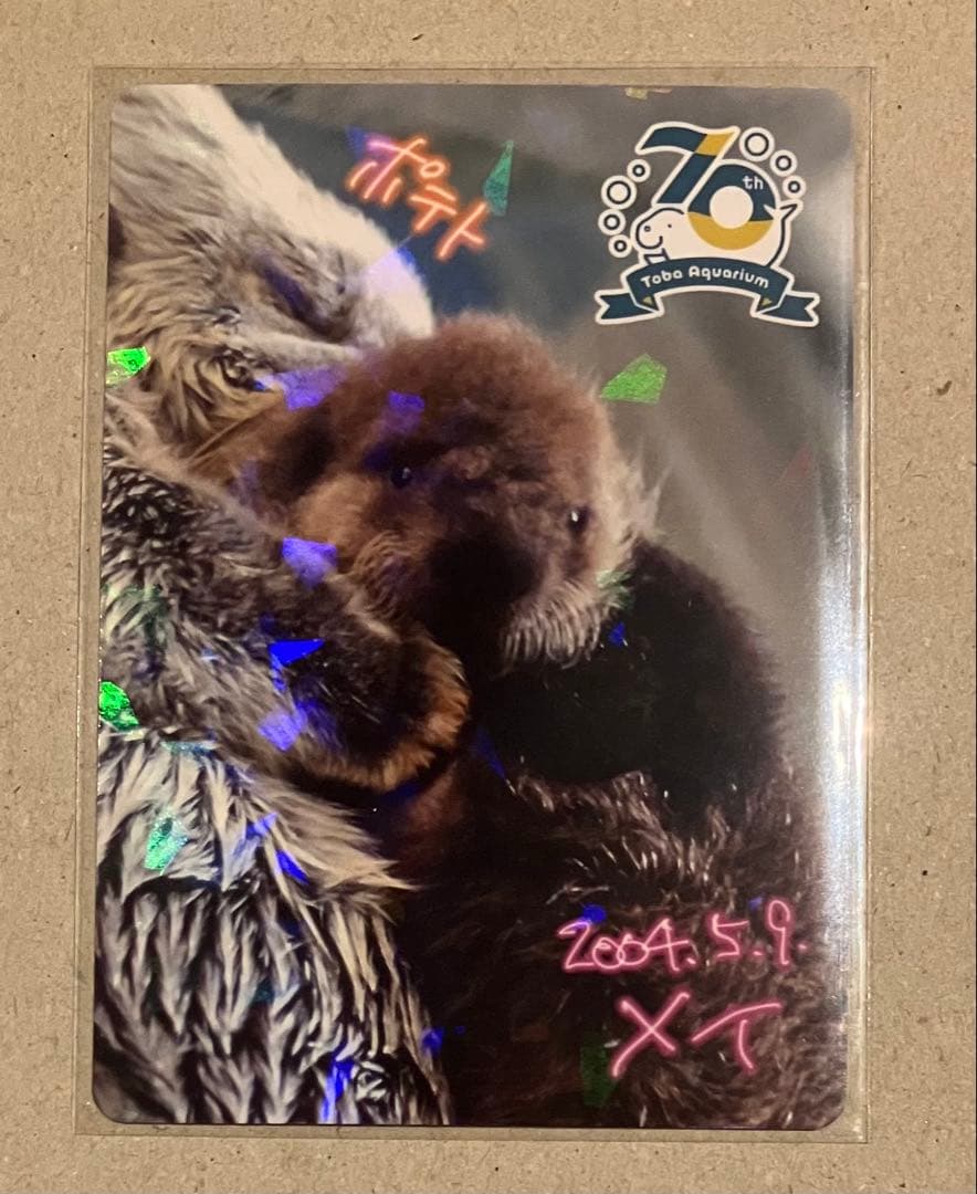 鳥羽水族館　コレクションカード　ラッコ　レア　メイ　ポテト