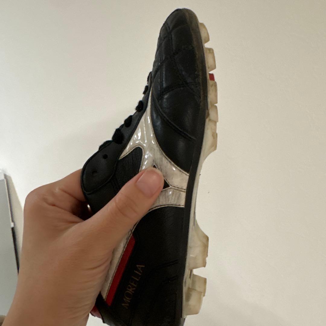 モレリア2 23 ㎝