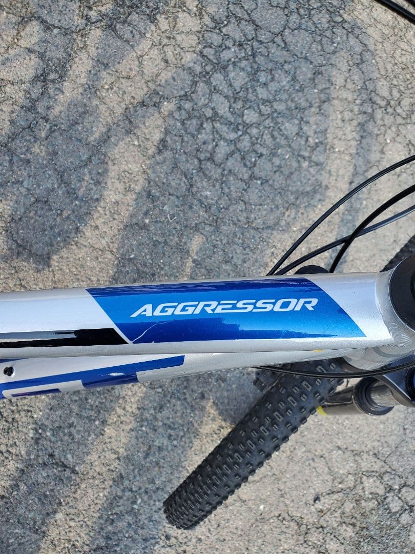 GT アグレッサー エキスパート M