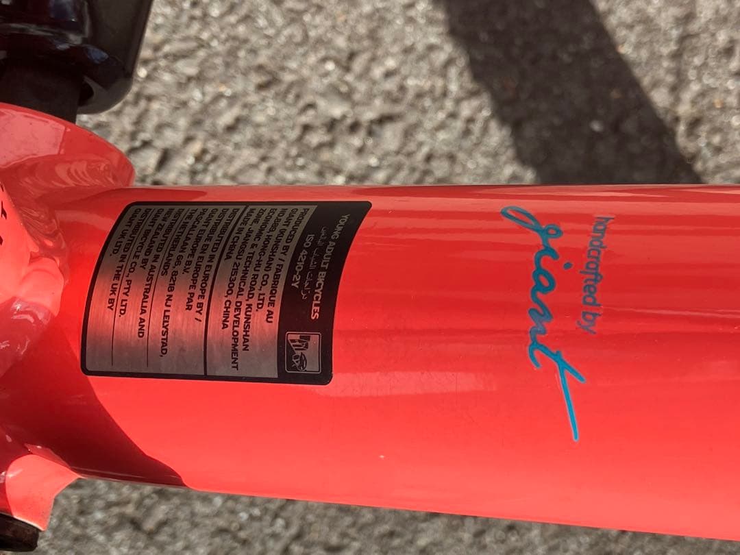 Giant 子供用自転車 20インチ