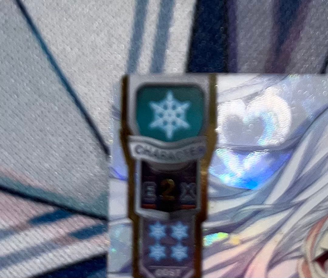 二つの翼　朱雀院椿　ssp おまけ付き