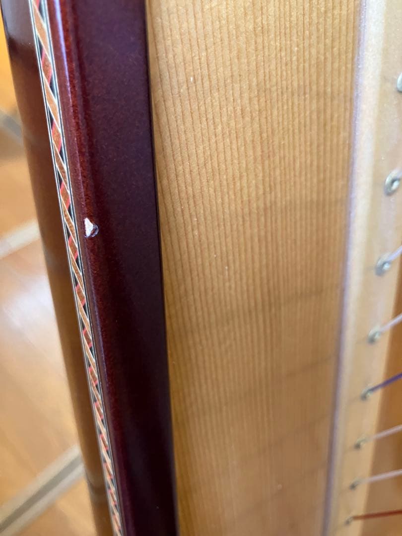 アオヤマハープ 34弦 130DB 2008年購入