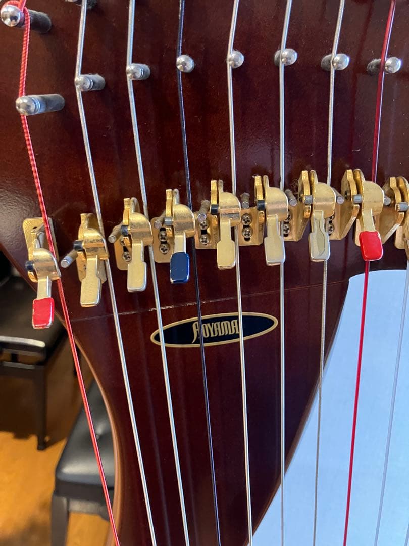 アオヤマハープ 34弦 130DB 2008年購入