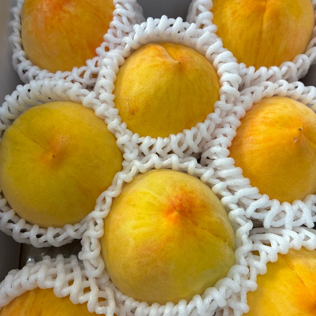 kukka　岡山ピオーネつぶ2キロ×２箱＆黄金桃家庭用2キロ