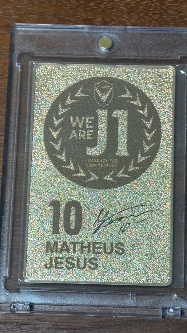 MATHEUS JESUS マテウスジェズス昇格記念メタルカード
